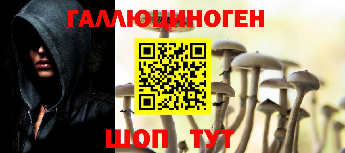 Кандалакша  наркота  Вход с VPN  Псилоцибиновые грибы мухоморы  Псилоцибиновые грибы Cubensis 